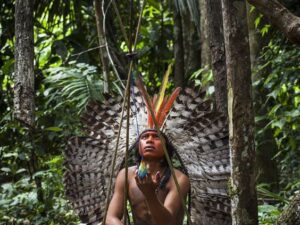 Medicinas da Floresta